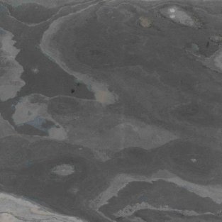 Bold Black Translucent