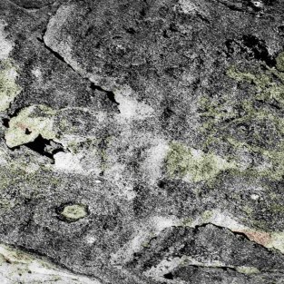 Bold Black Translucent