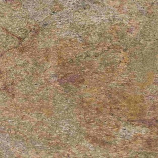 Gold Empaty Translucent