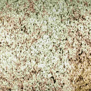 Gold Empaty Translucent