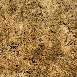 Tan Grey Translucent